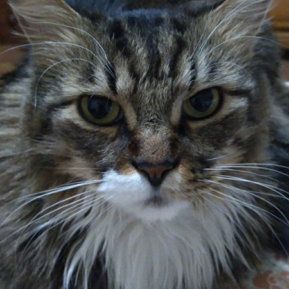 Meet your Posher, Teresa